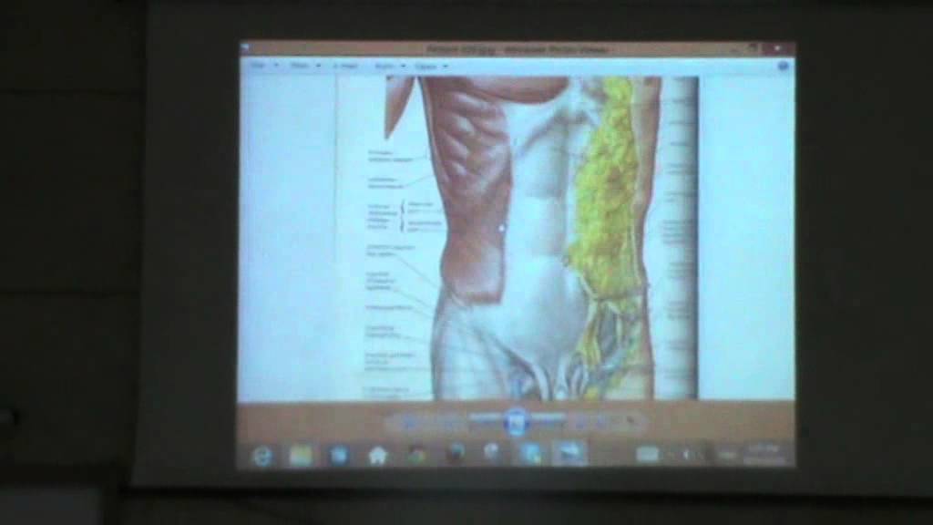 1-Dr.Medhat ( Pectoralis Major Muscle )11/10/2015