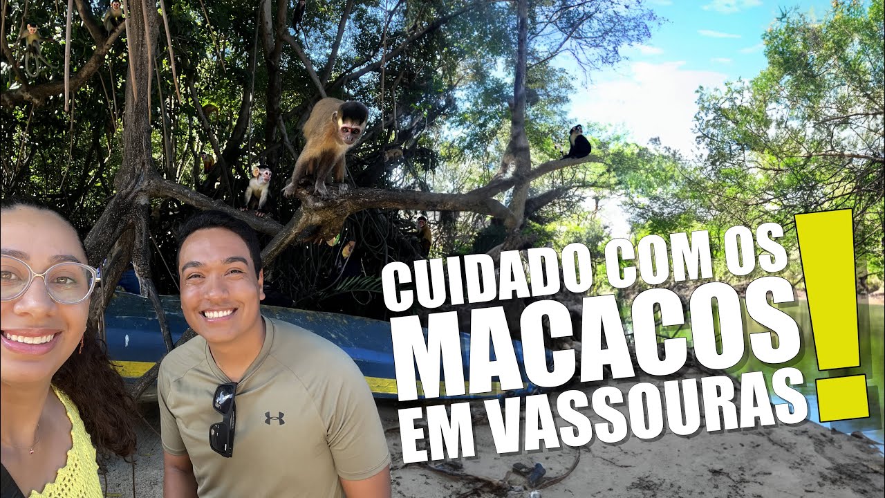 MARANHÃO além dos LENÇÓIS MARANHENSES | VASSOURAS, MANDACARU e CABURÉ