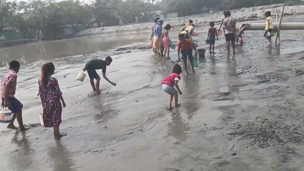 বালুর ভিতর কয়লা খুজতেছে