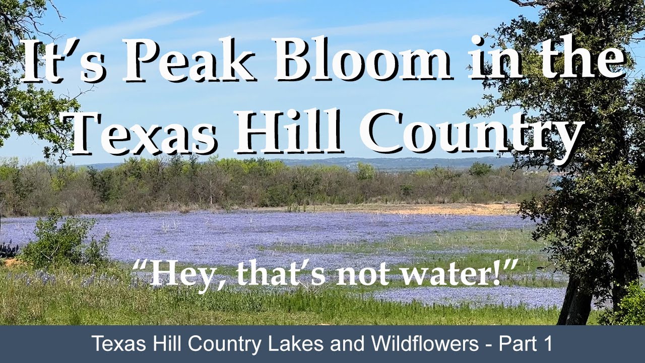 Texas Hill Country Lakes and Wildflowers | Lake Buchanan
