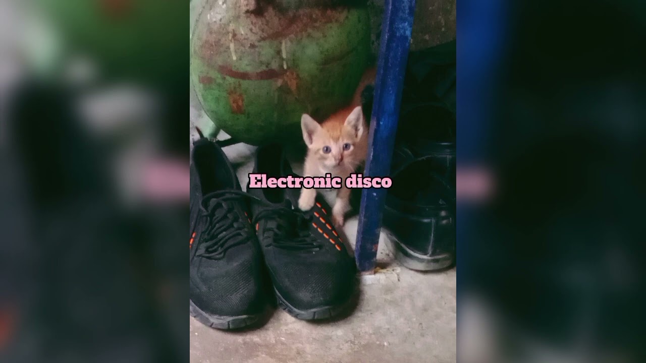 Electronic disco 