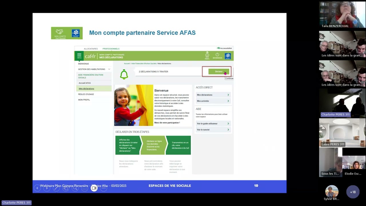 Webinaire AFAS : Espaces de Vie Sociale 03/02/2025