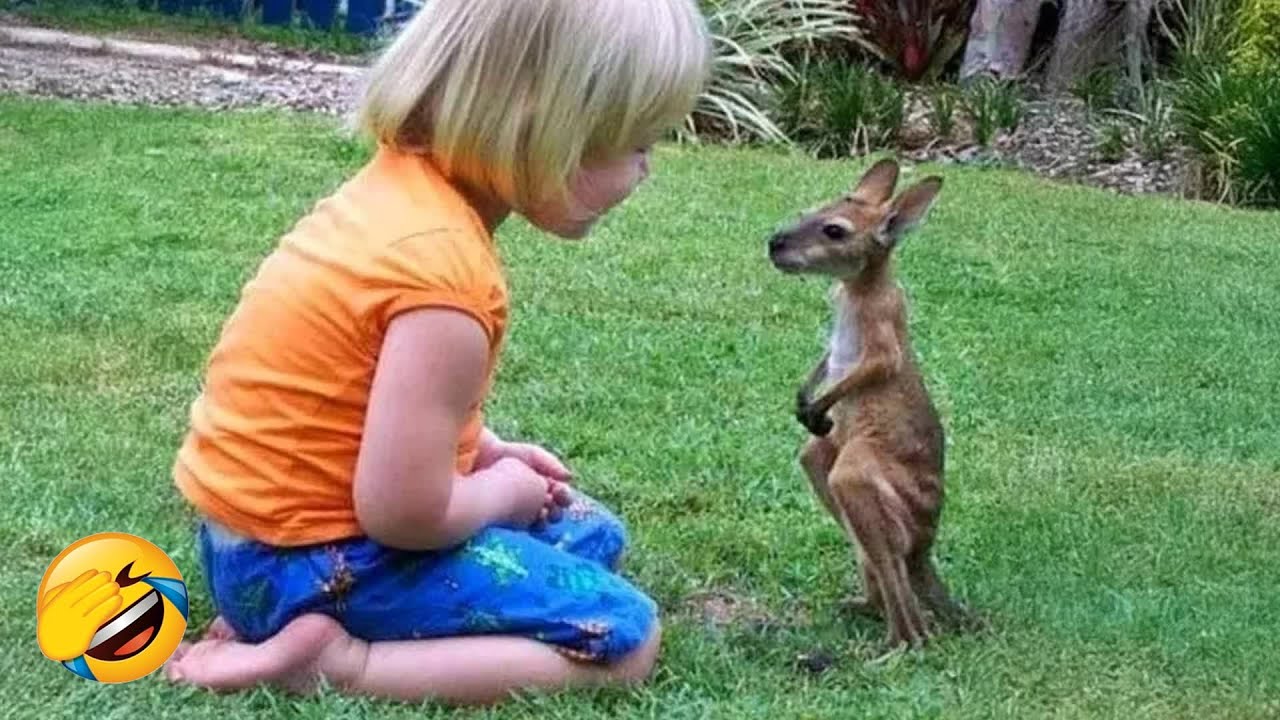You Will Die Laughing At These Dogs 🤣 The Funniest Dog Moments Compilation 🥙