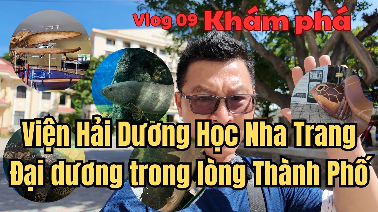 [Vlog #09] Viện Hải Dương Học – Đại Dương trong lòng Thành Phố I Nha Trang Cuộc Sống và Ẩm Thực