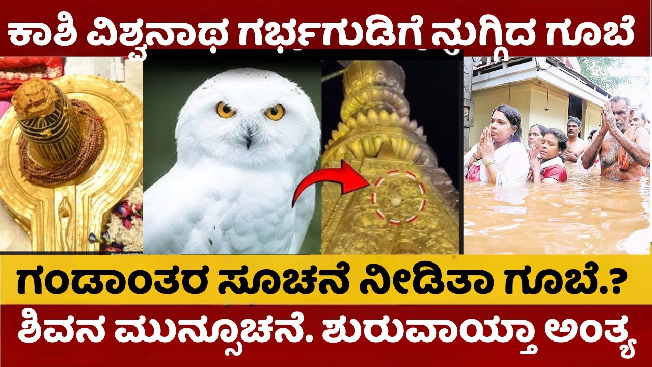 ಕಾಶಿ ವಿಶ್ವನಾಥ ದೇಗುಲಕ್ಕೆ ನುಗ್ಗಿದ ಗೂಬೆ | ವಿನಾಶ ಮುನ್ಸೂಚನೆ ಕೊಟ್ಟನಾ ಮಹಾದೇವ |