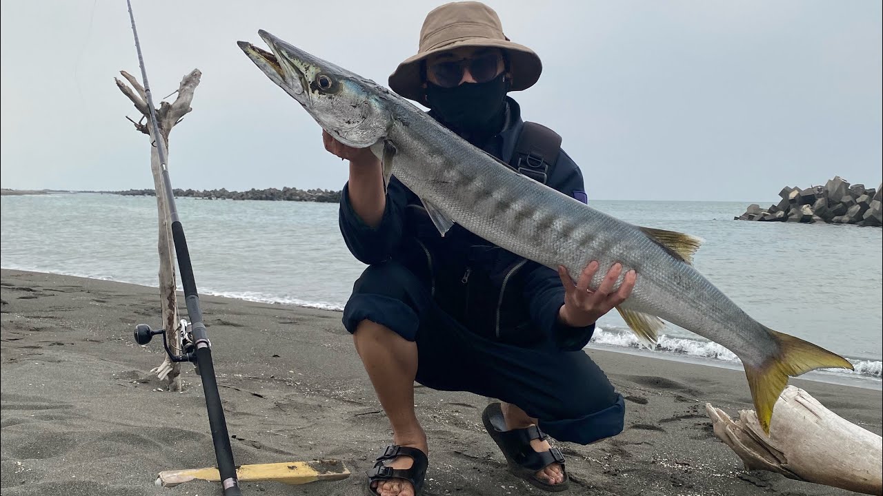 釣大物，跟著餌魚走就對了，竹梭水表炸裂！！！