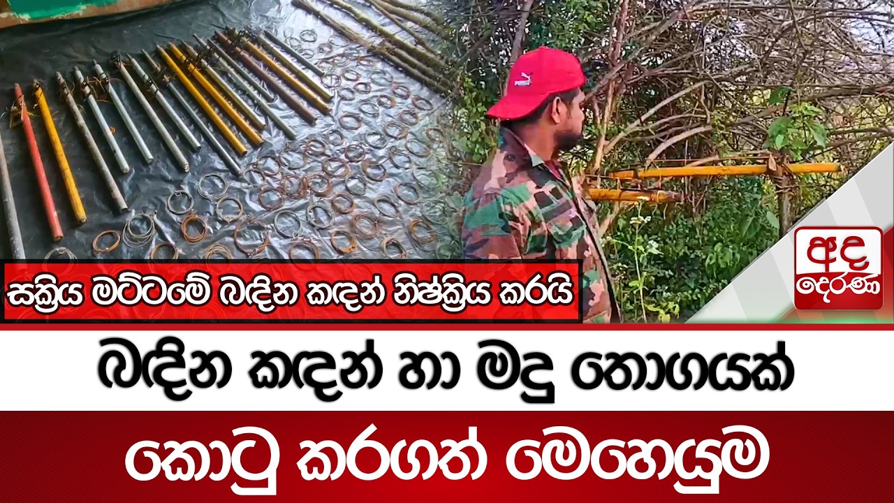 බඳින කඳන් හා මදු තොගයක් කොටු කරගත් මෙහෙයුම | Ada Derana