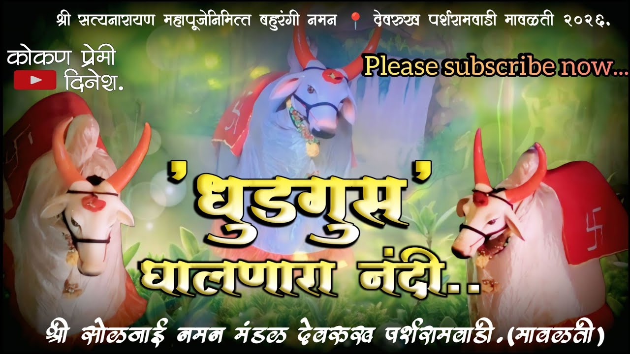 🔴असा नंदी तुम्ही पाहिलाच नसेल💯😎श्री सोळजाई नमन देवरूख पर्शरामवाडी मावळती २०२६!#कोकण #kokanche_khele 