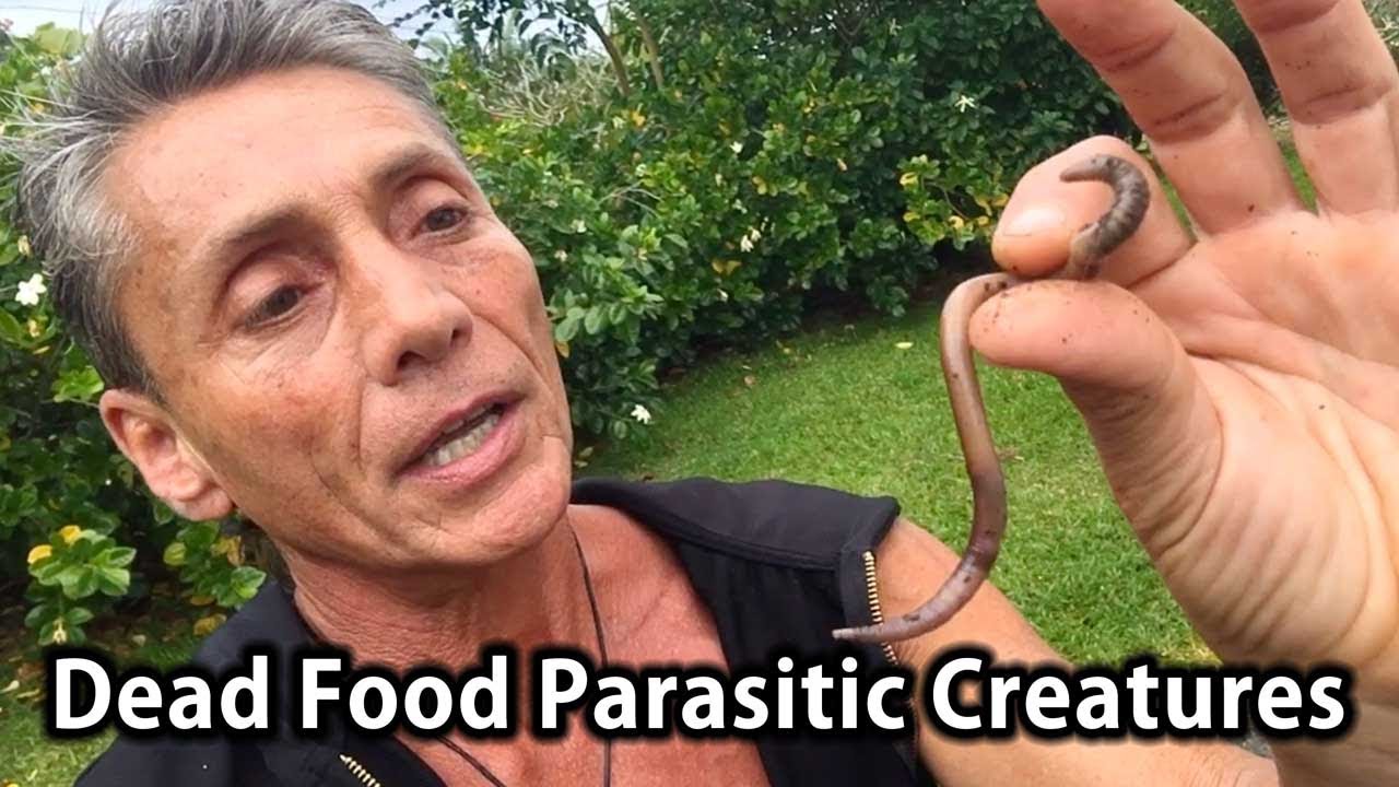 Dead Food Parasitic Creatures | Tip Of The Day | Dr. Robert Cassar