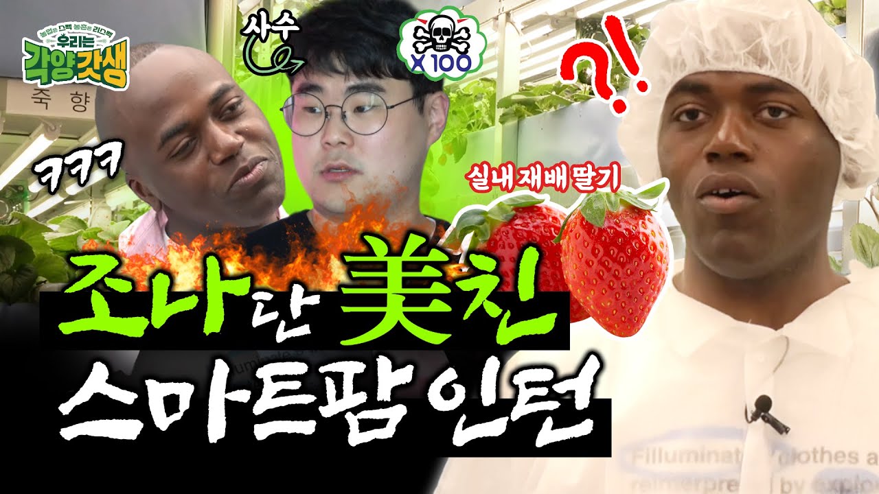 조나단, 농업 회사에 취직하다? (플랜티팜 편)