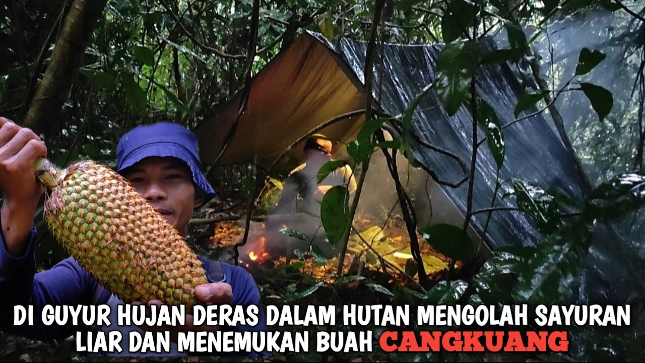 Berpetulang mencari buah-buahan liar, Menemukan buah langka dan Memasak sayuran hutan | Kang Kumang