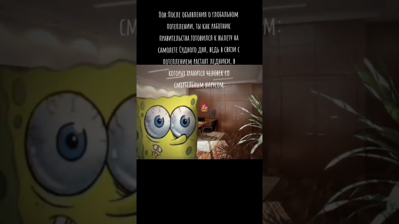 жiзi брiд #нонкабоб #шизопост #шизопостинг #шизопостинг #squash35k #spongebob