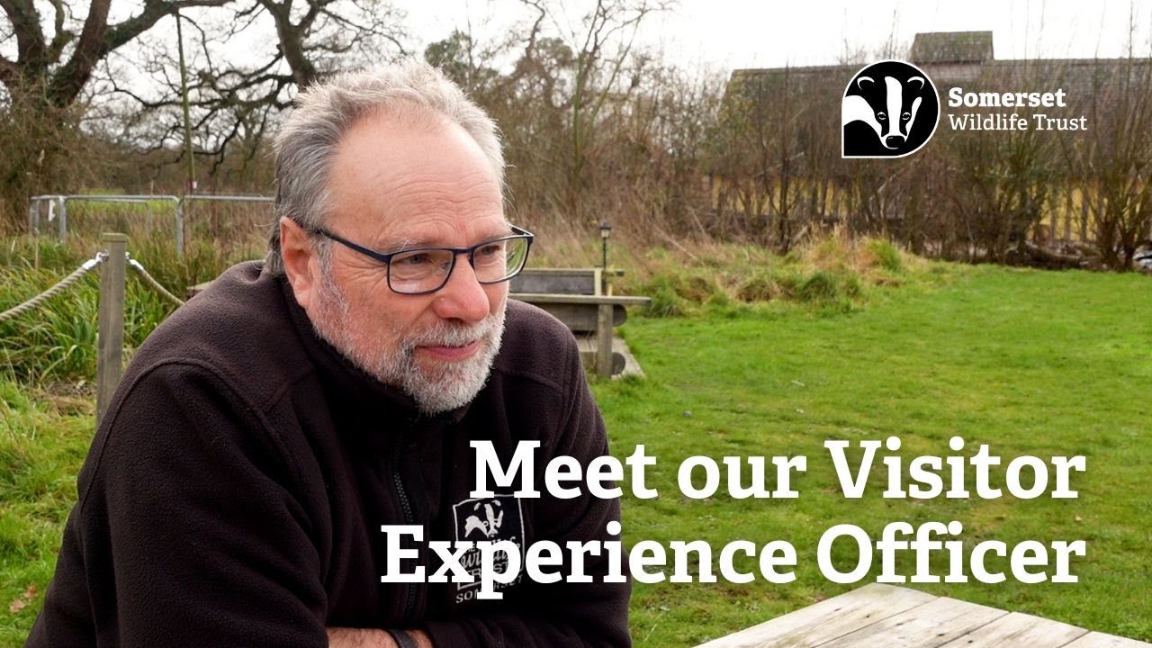 Meet our Visitor Experience Officer