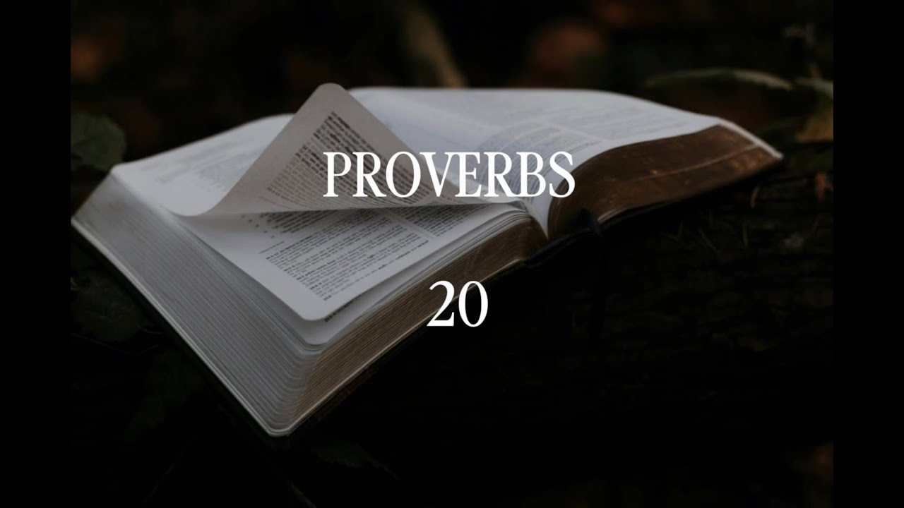 Proverbs 20: Differing Weights