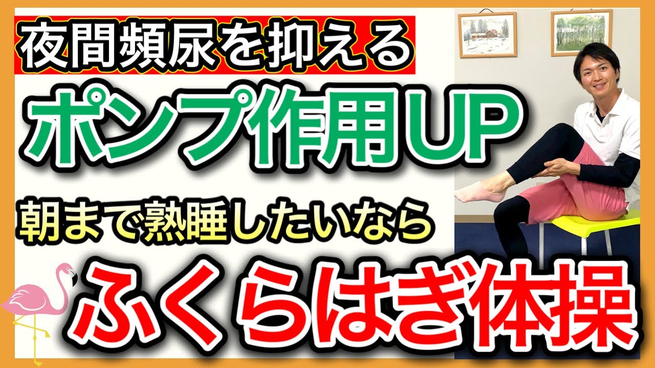 【夜間頻尿】血液循環を向上させて夜間頻尿を解消。朝まで寝たいなら椅子に座ってふくらはぎ体操