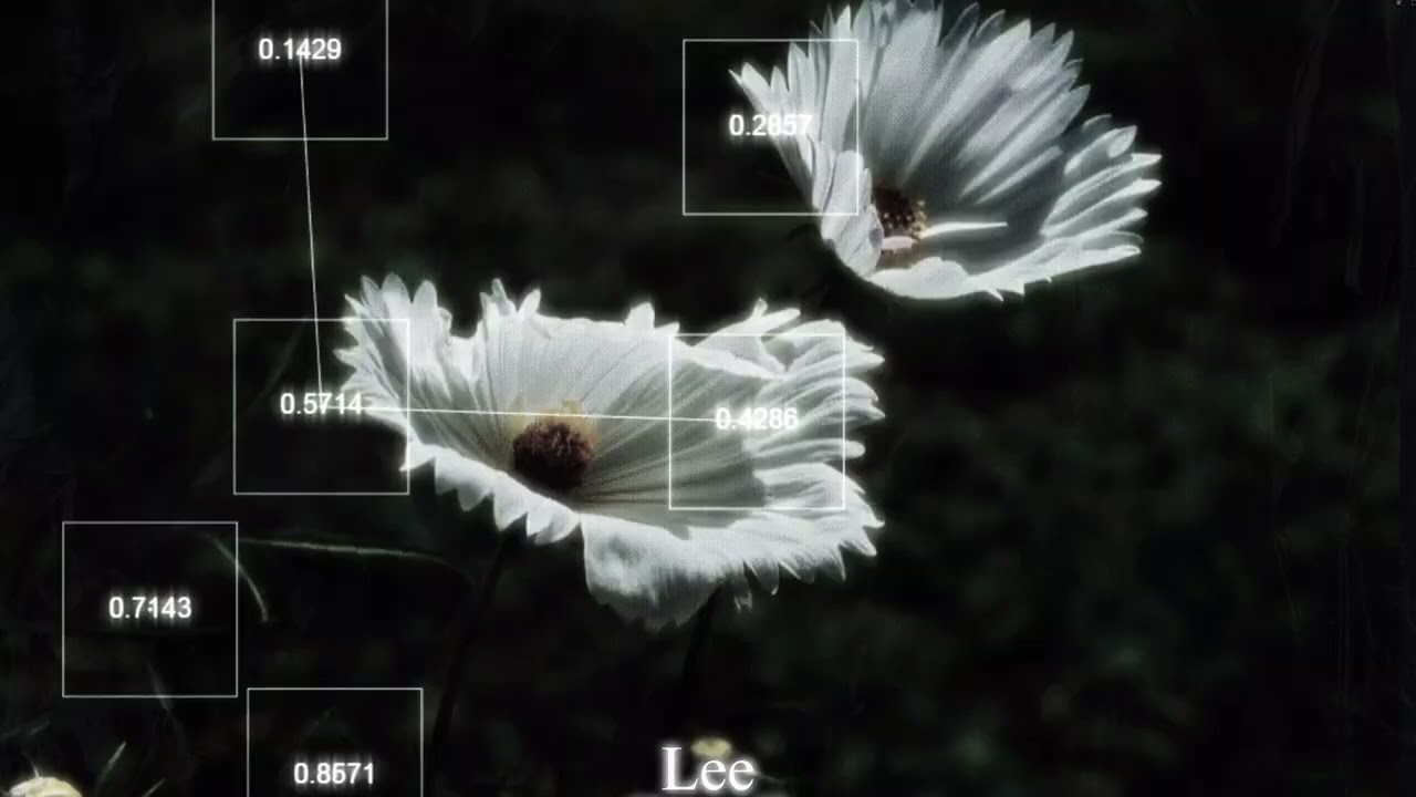 Everybody can Gaze Love (Except you.)