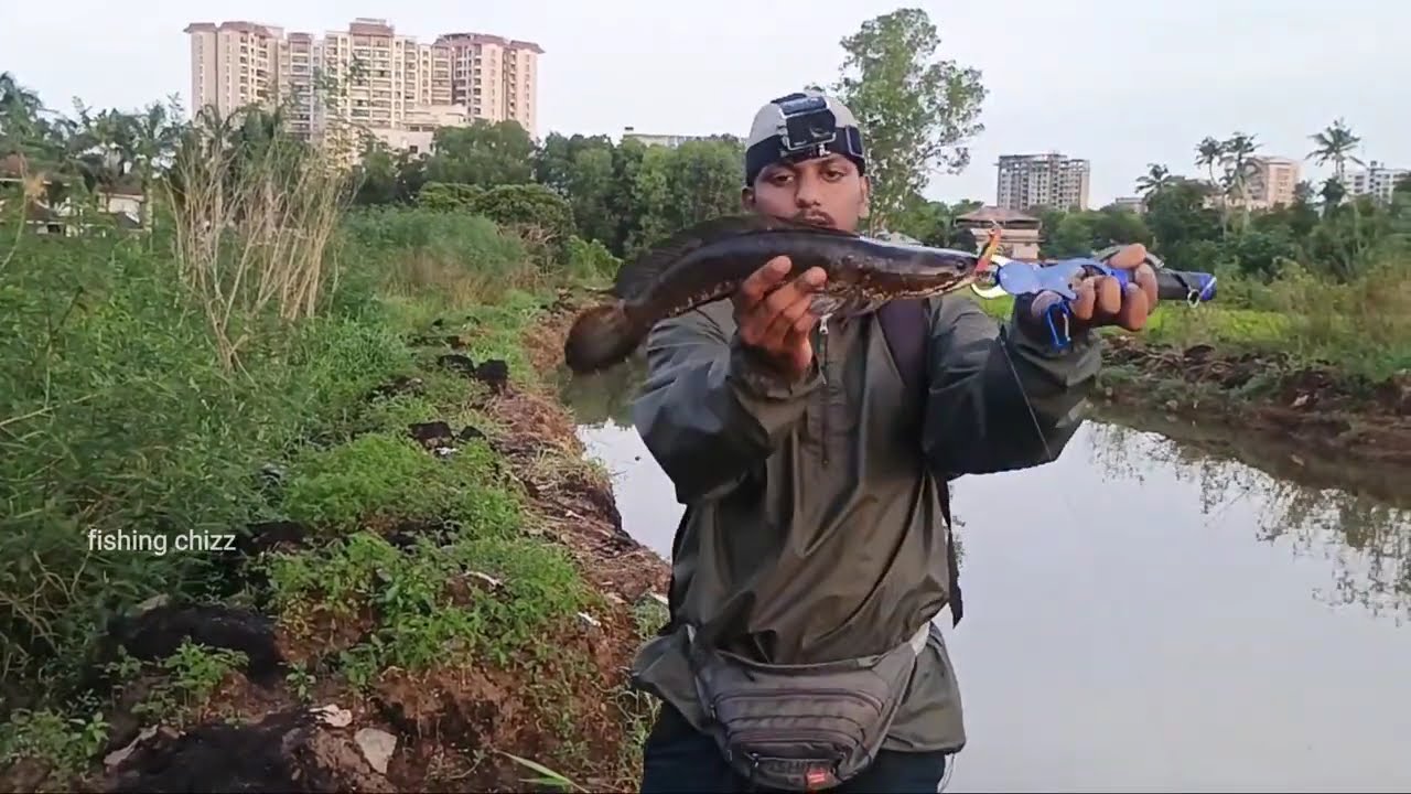 കാട്ടിൽ നിന്ന് പുറത്തുവന്ന് ഒരു അടി 💥💥💥 strike 🔥 | snakehead fishing| malayalam fishing| kerala 
