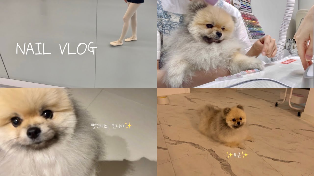Nail Vlog | 🐶강아지랑 함께하는 네일샵 브이로그 | 네일샵 원장의 하루 | 강아지 영상 많음💙|네일시술영상 