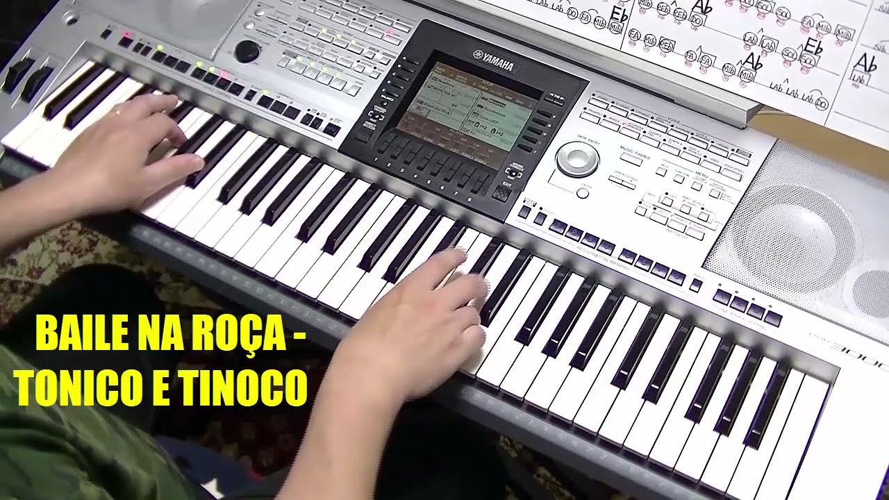 20 MÚSICAS SERTANEJAS DIVERSAS  ( VOL 2 )