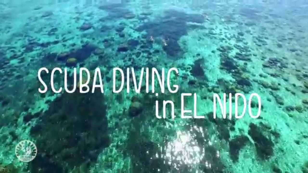 SCUBA DIVING in EL NIDO, Philippines: Dive amidst coral gardens