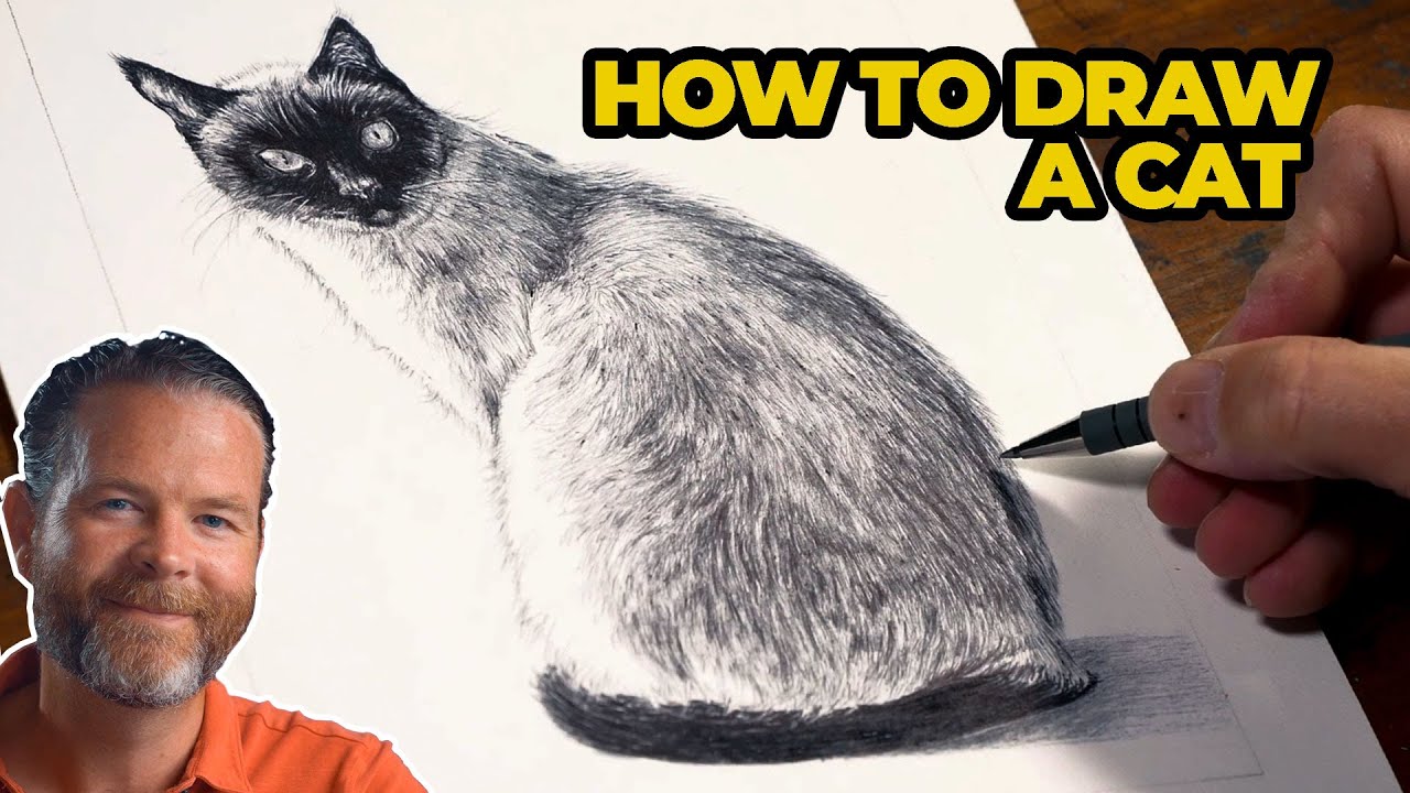 How to Draw a Cat - Ballpoint Pen Drawing