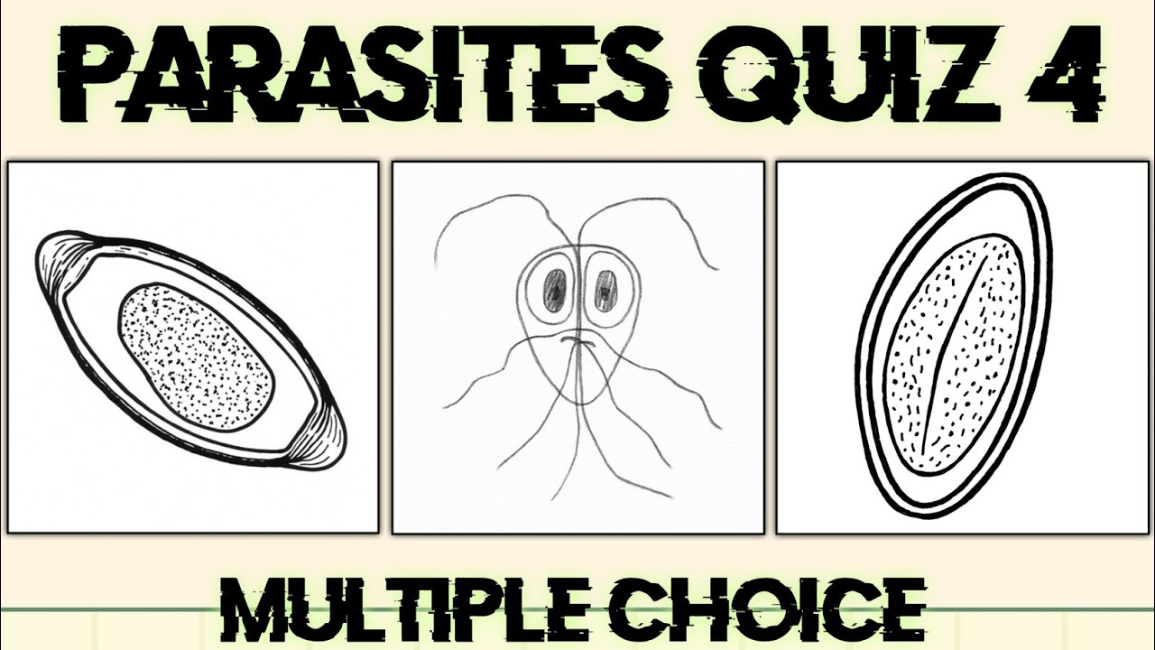 Parasitology Quiz 4 | Multiple Choice Questions
