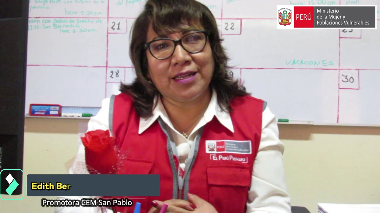 CENTRO EMERGENCIA  MUJER 2020
