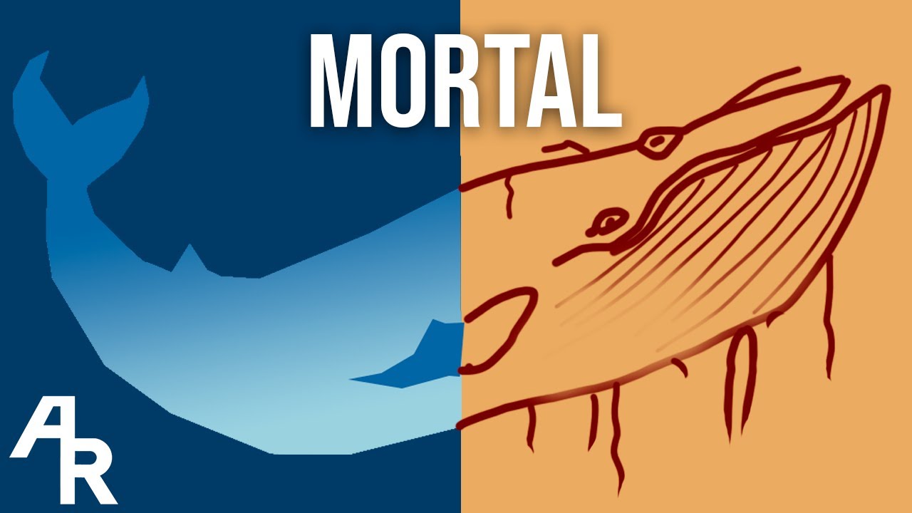 Baleia Azul: A verdade do desafio que aterrorizou an internet.