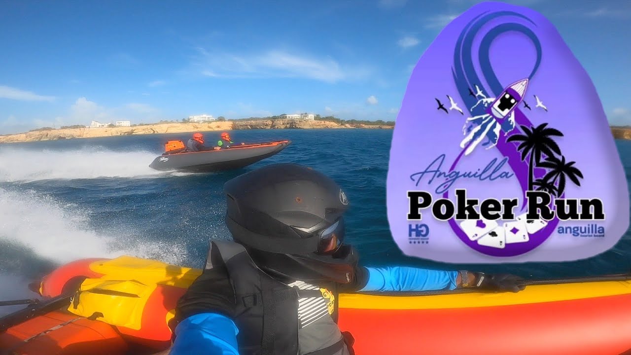 Zap Cat Poker Run: The Ultimate Thrill for Adventure Seekers