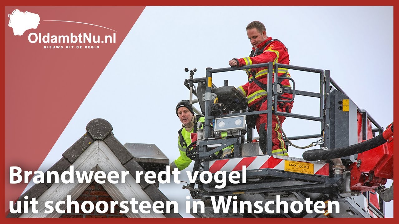 Brandweer redt vogel uit schoorsteen in Winschoten