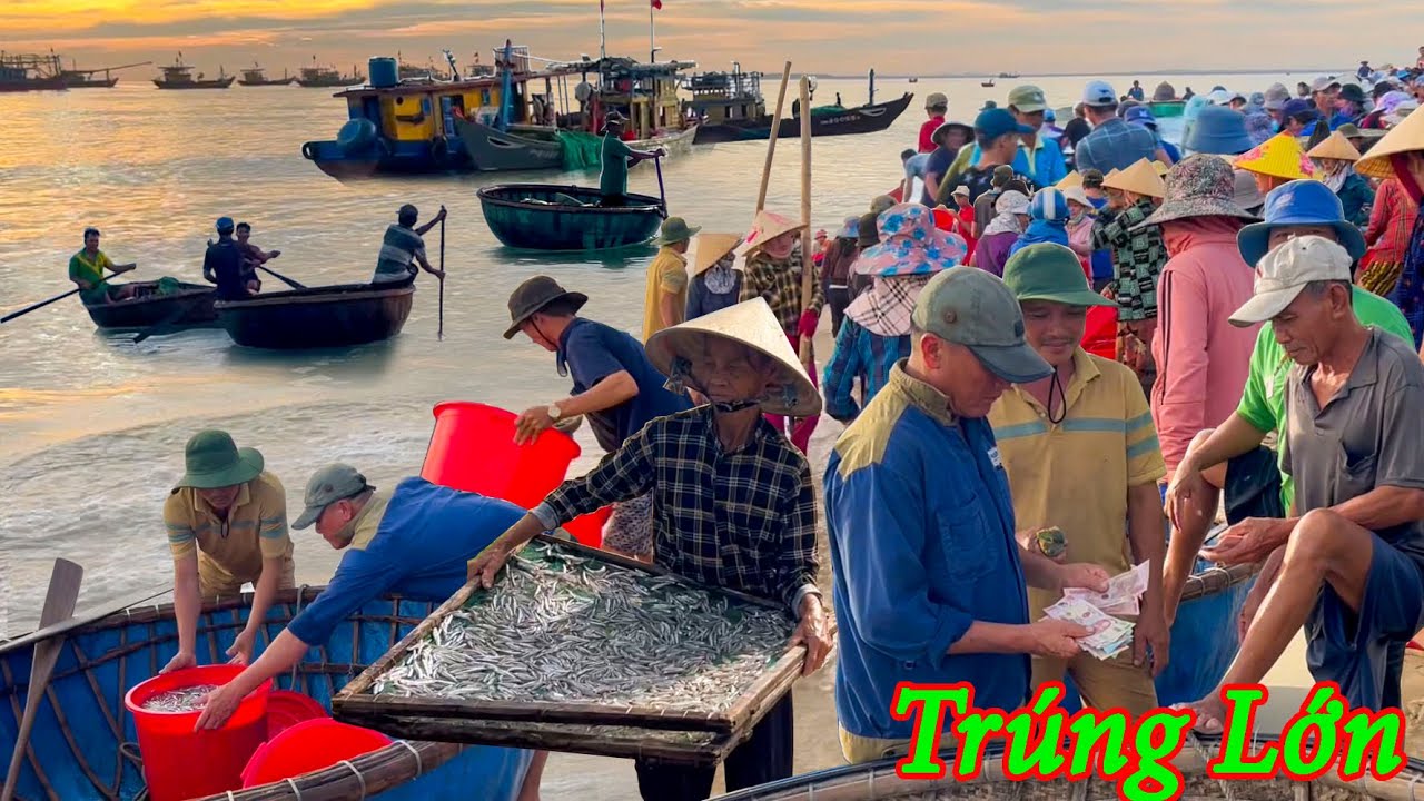 Chợ Biển Đông Nhất Việt Nam║Trúng Lớn Hàng Tấn Cá Cơm Lưới Rút Mùng