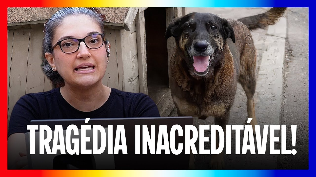 O TRÁGICO CASO ORELHA