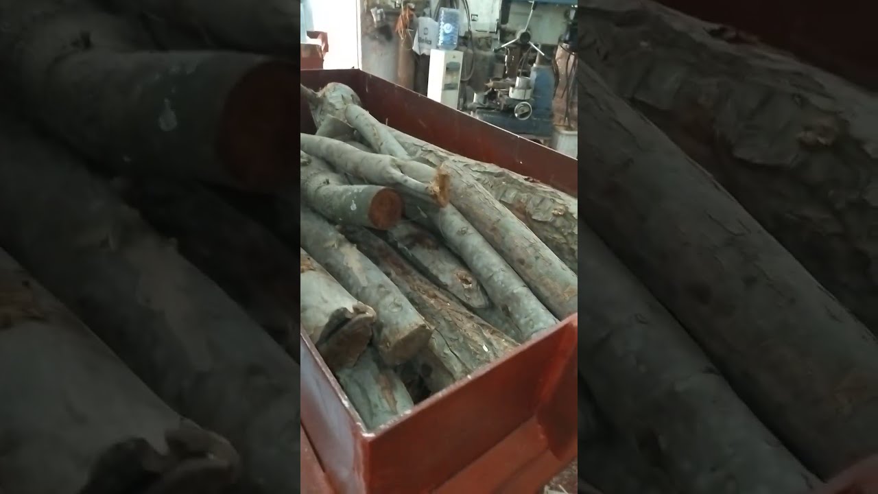 شاهد نشارة الخشب المعتمدة لدي اسطبلات الخيول في الخليج من الماكينة العملاقة ٦ درفيل شركة الفارس جروب