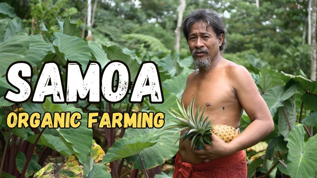 Rasta Sio takes me on a tour of his Organic farm in the Mountains of Samoa