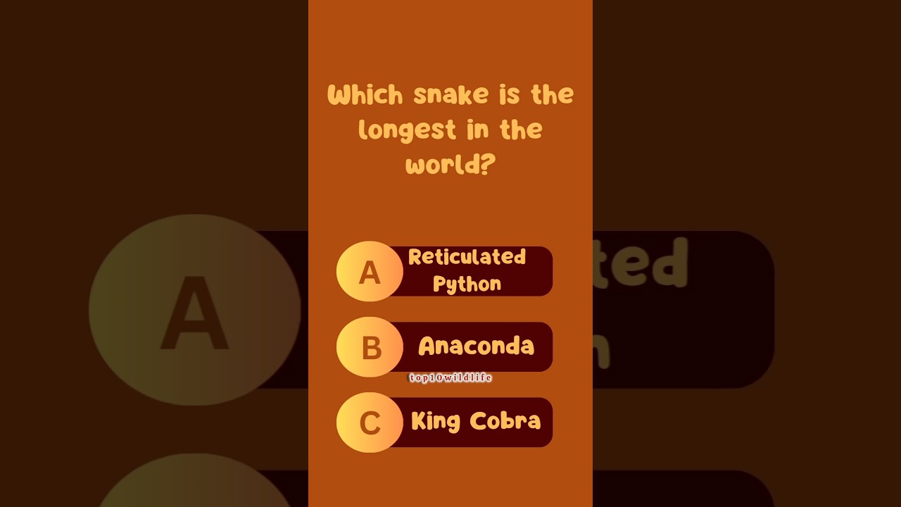 LONGEST SNAKE🐍 IN THE WORLD #quiz #wildlife #snake