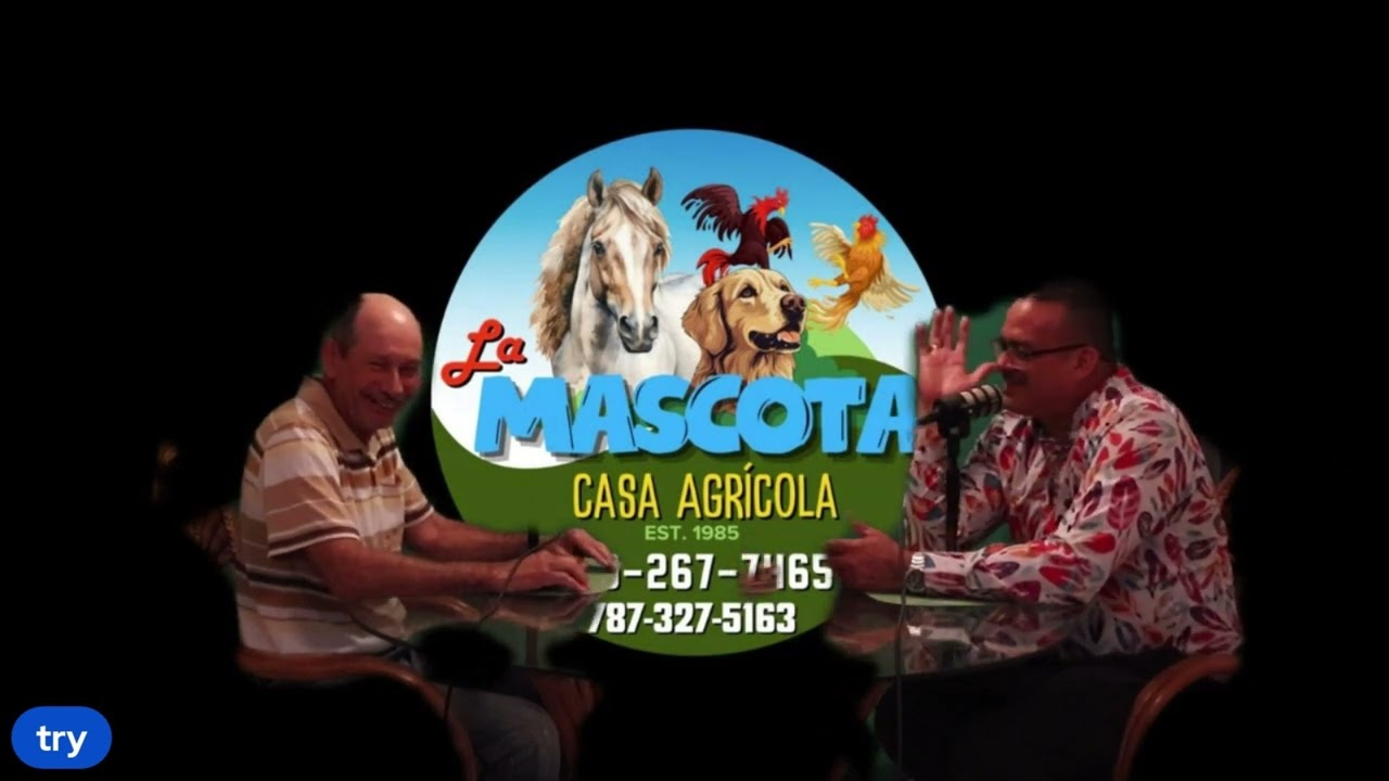 Episodio #4 Castador Felix 