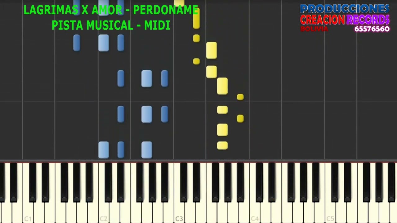 LAGRIMAS X AMOR - PERDONAME ( Video Tutorial & Pista Musical )