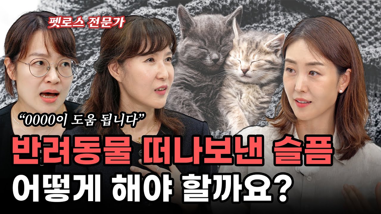 설마 내가 펫로스증후군? 상담전문가가 알려주는 펫로스 대처법 [상담의 참견 7회]