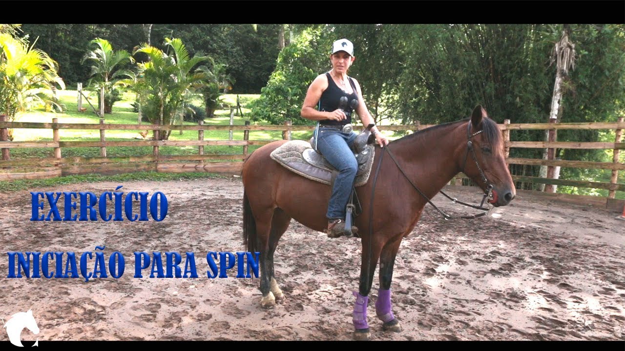 Iniciando o Spin Treinamento