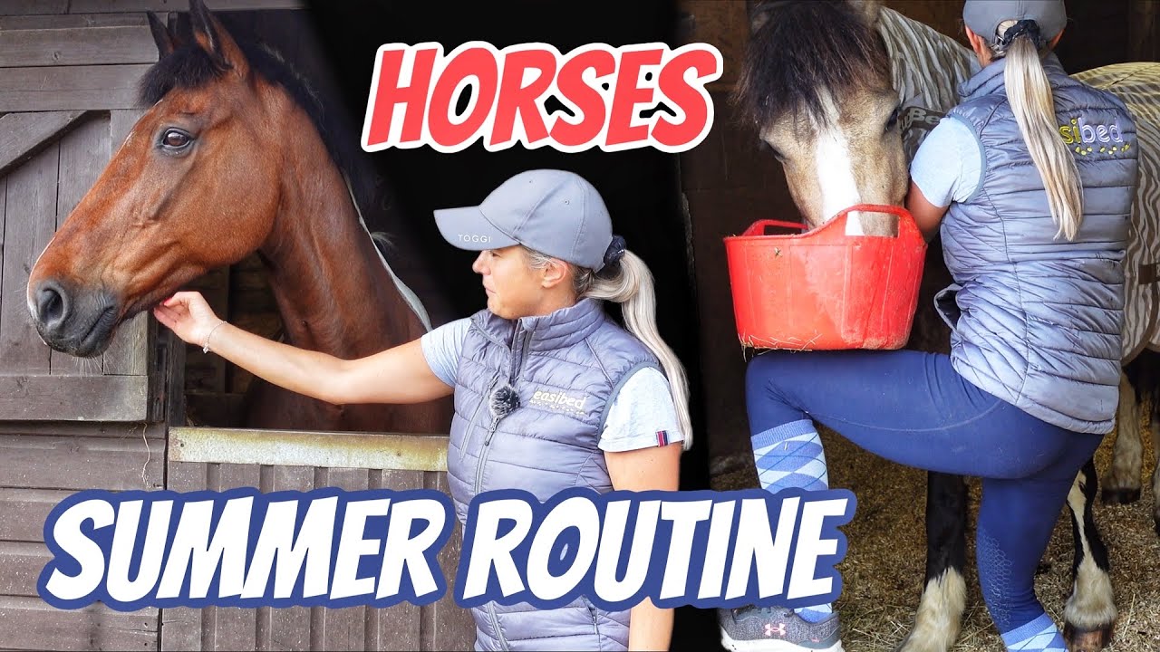 MORNING ROUTINE WITH THE HORSES