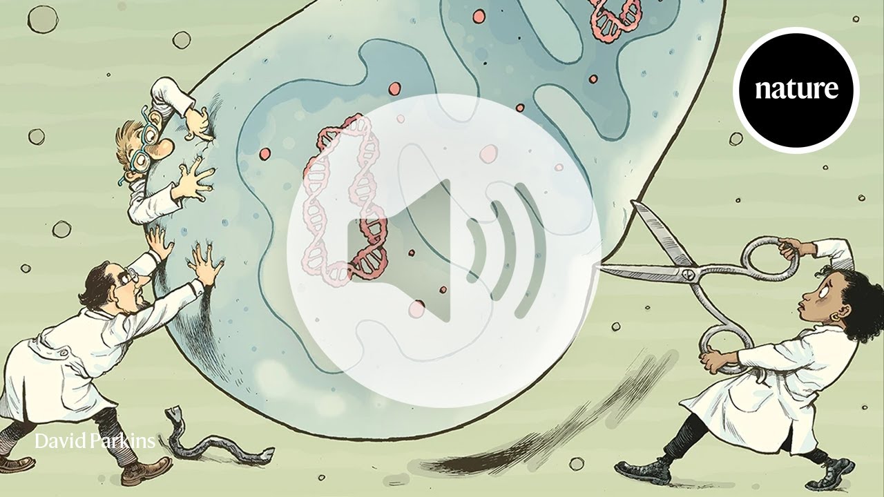 Audio long read: Faulty mitochondria cause deadly diseases, fixing them is about to get a lot easier