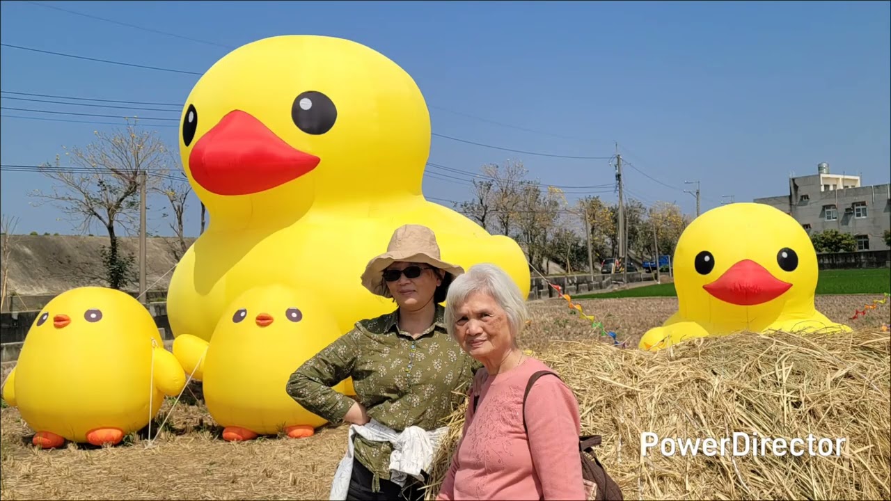 115／3／7嘉義大林黃花風鈴木 紫南宮 清水溝麝香木 武昌宮地震廟