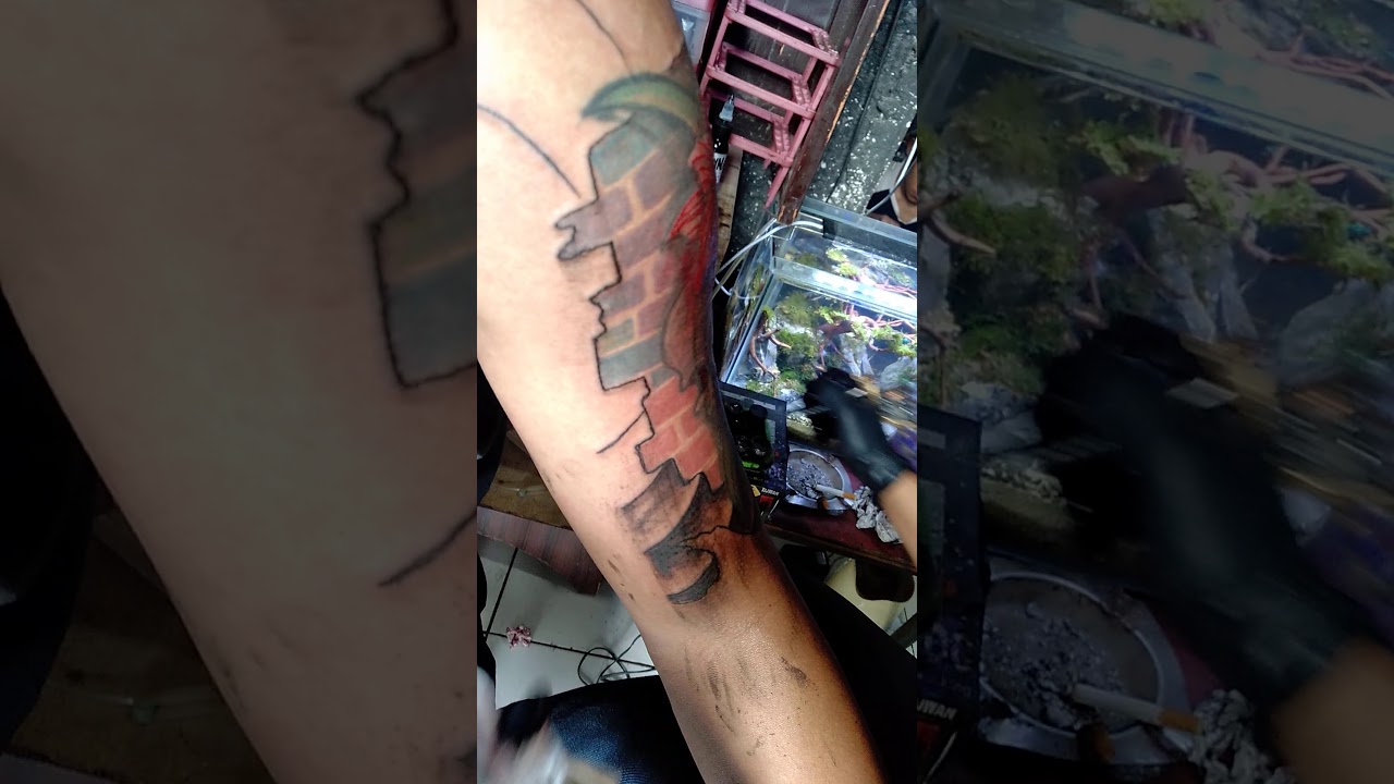 Bertatto