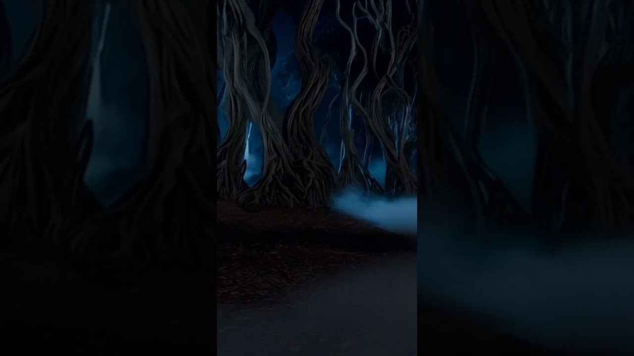 A floresta proibida !