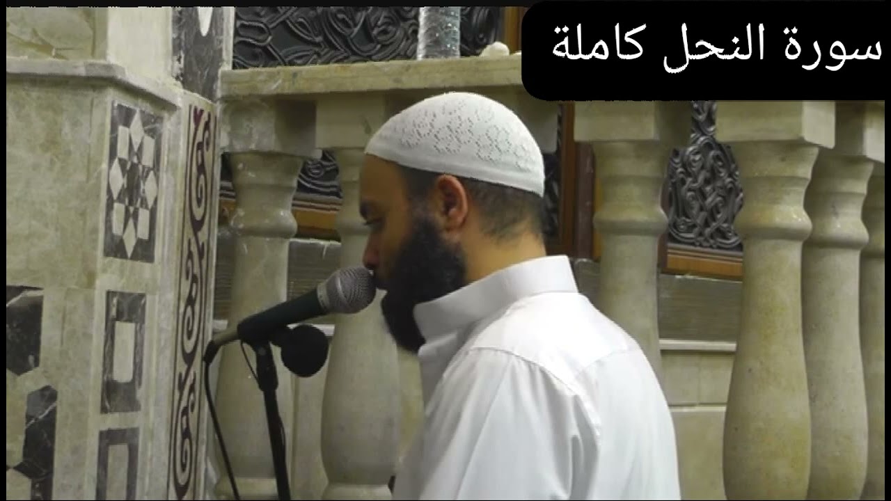سورة #النحل ، الشيخ طارق يوسف عرفة #صلاةالتراويح #رمضان 1446 #تلاوات_قرآنية #القرآن_الكريم