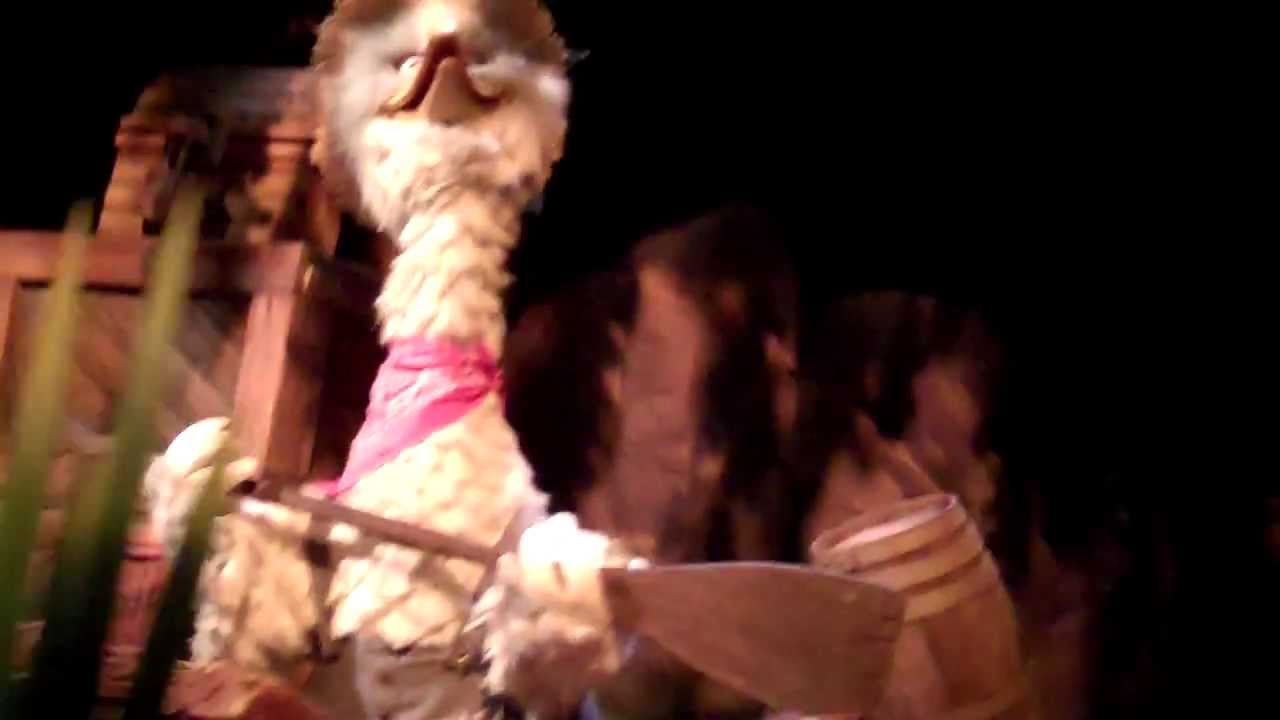 Splash Mountain 2011