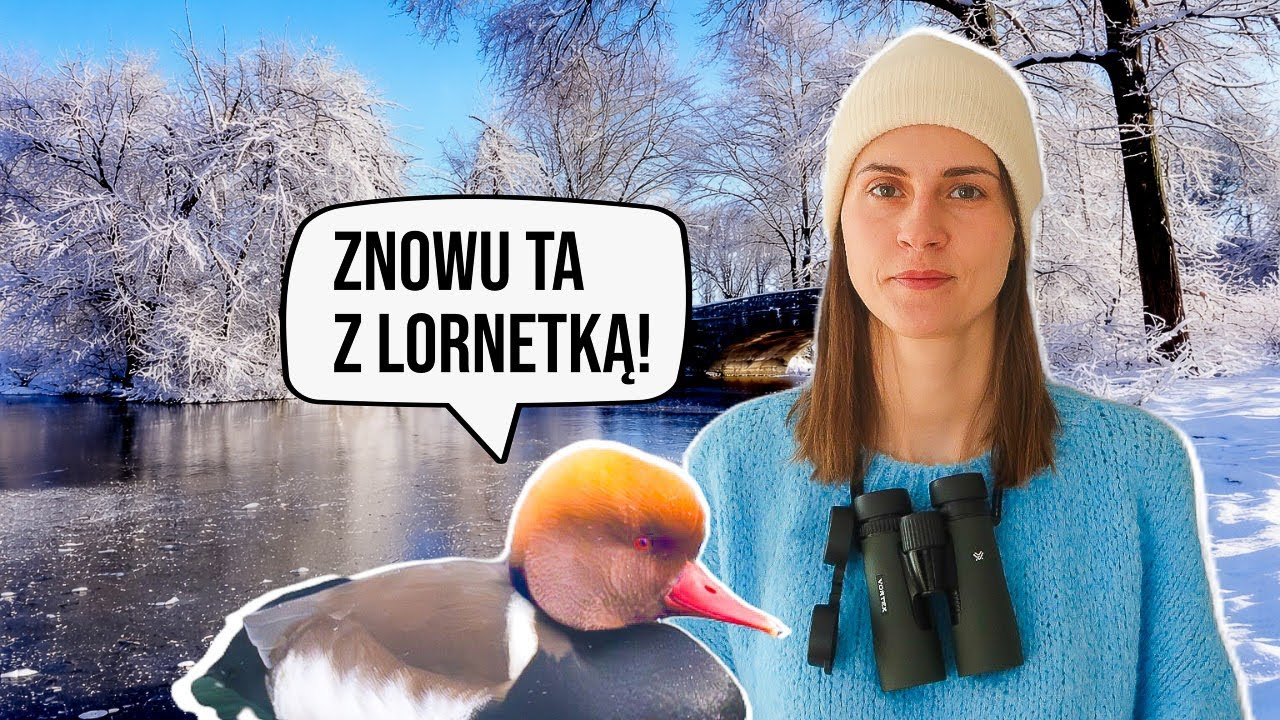 Zima w terenie - podsumowanie stycznia