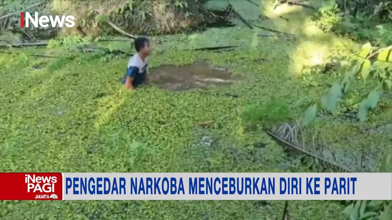 Terciduk Polisi, Pengedar Narkoba Nekat Kabur dengan Menceburkan Diri ke Parit #iNewsPagi 28/04