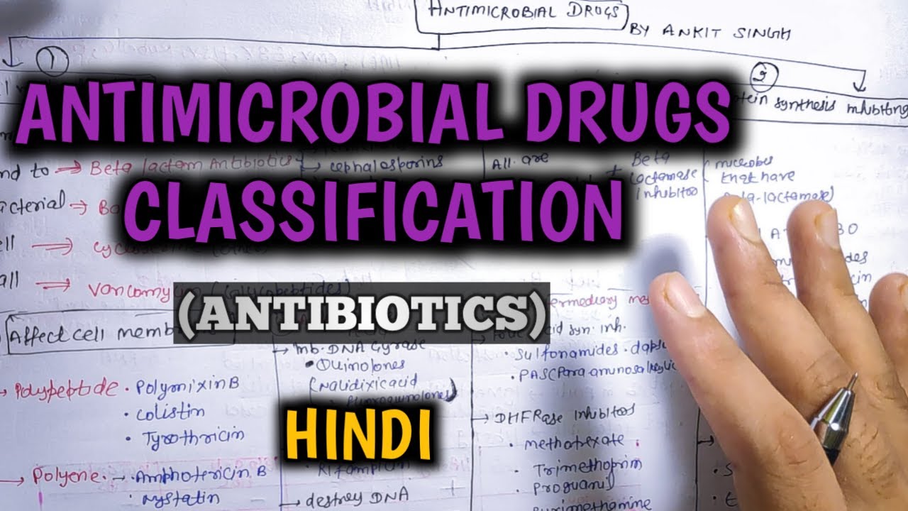 Antimicrobial drugs pharmacology | Beta lactams antibiotics | Antimicrobial drugs classification