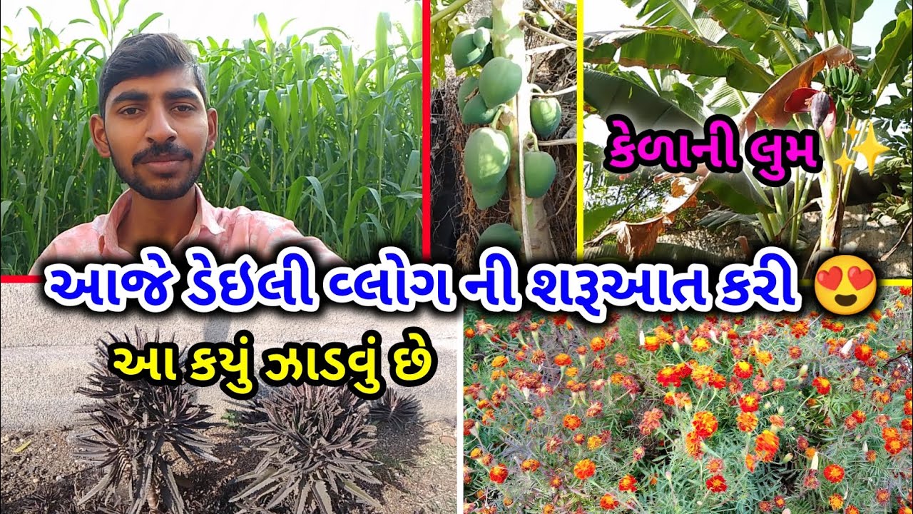 આજે દરરોજ વ્લોગ બનાવવાની શરૂઆત કરી 😍|Daily Vlog Start YouTube#vlog #viralvideo #2026 